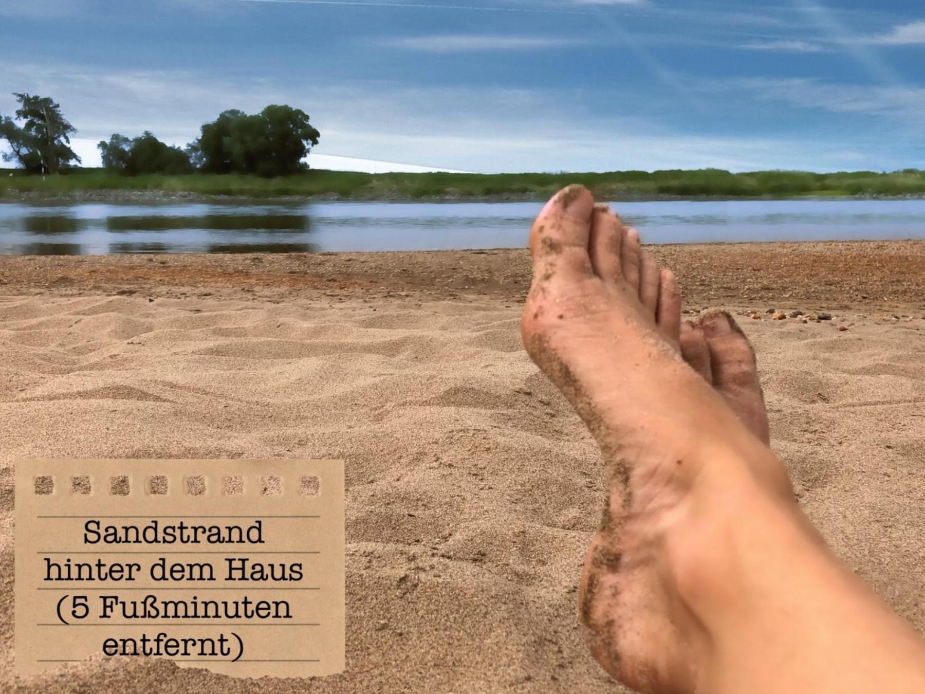 Alte Schule Wittenberg, 3 Ferienwohnungen Fuer Bis Zu 12 Personen, An Der Elbe, Mit Garten ภายนอก รูปภาพ