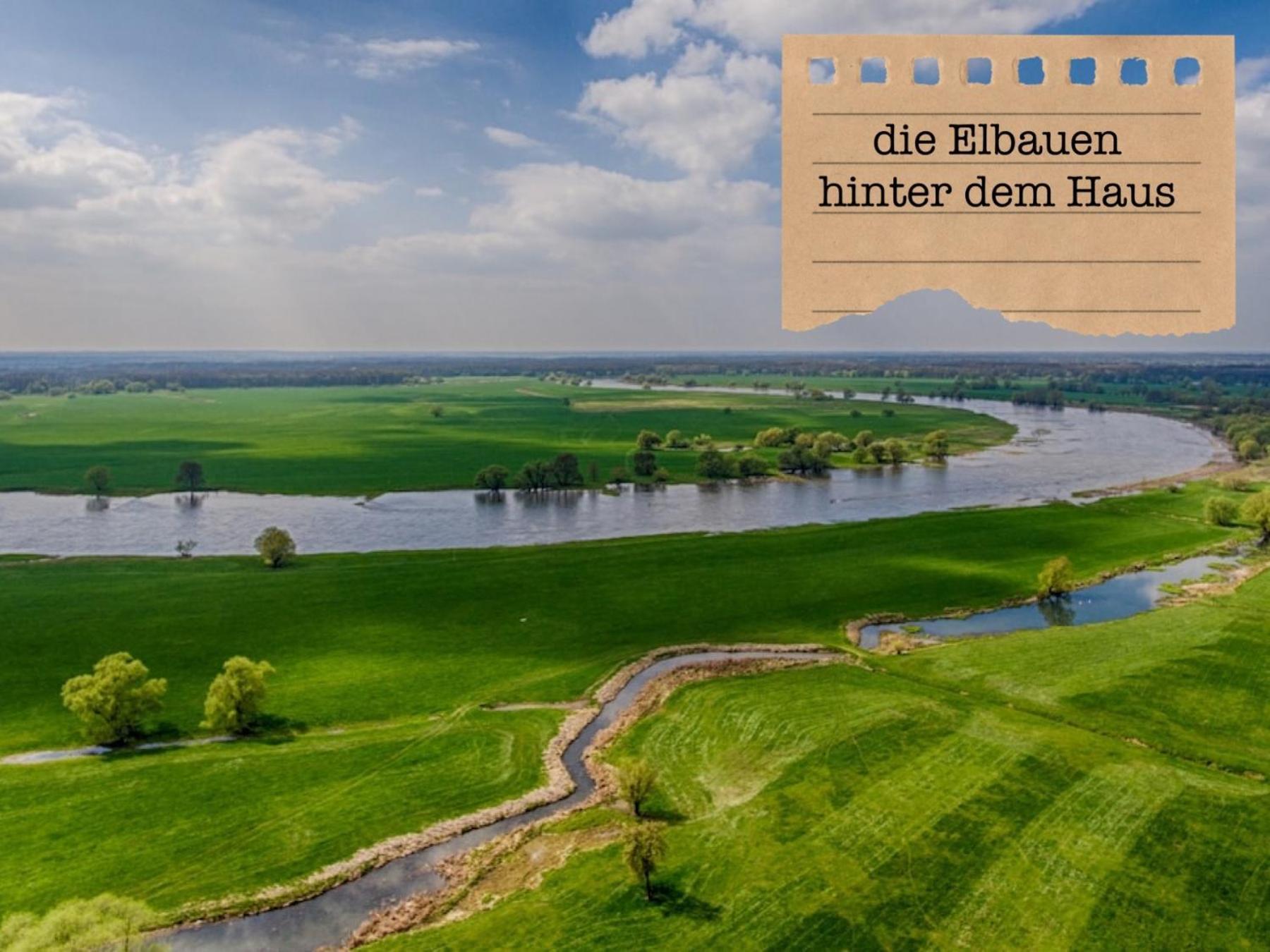 Alte Schule Wittenberg, 3 Ferienwohnungen Fuer Bis Zu 12 Personen, An Der Elbe, Mit Garten ภายนอก รูปภาพ