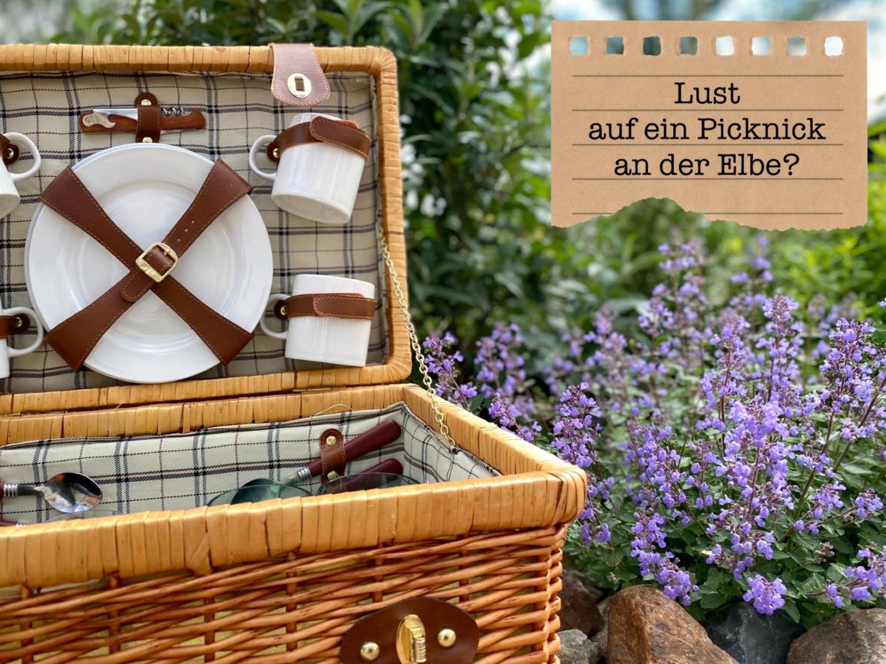 Alte Schule Wittenberg, 3 Ferienwohnungen Fuer Bis Zu 12 Personen, An Der Elbe, Mit Garten ภายนอก รูปภาพ
