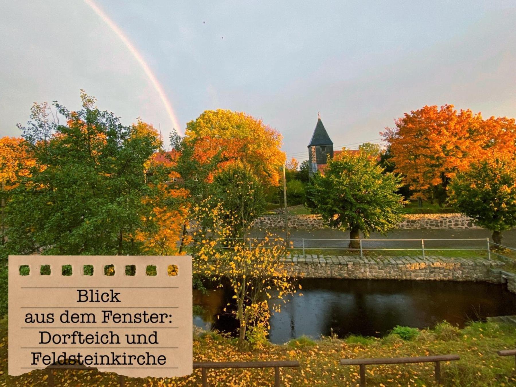 Alte Schule Wittenberg, 3 Ferienwohnungen Fuer Bis Zu 12 Personen, An Der Elbe, Mit Garten ภายนอก รูปภาพ