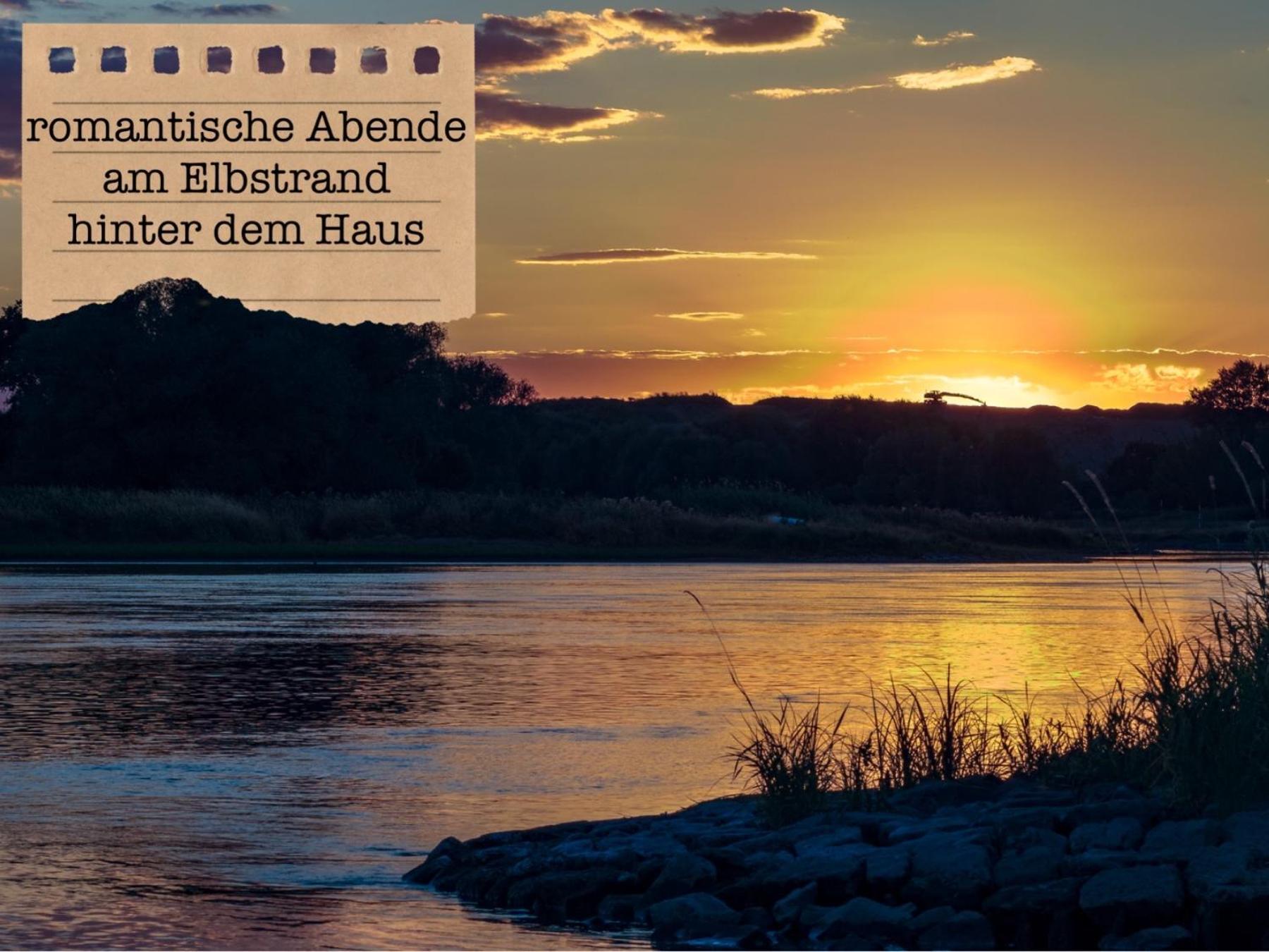 Alte Schule Wittenberg, 3 Ferienwohnungen Fuer Bis Zu 12 Personen, An Der Elbe, Mit Garten ภายนอก รูปภาพ