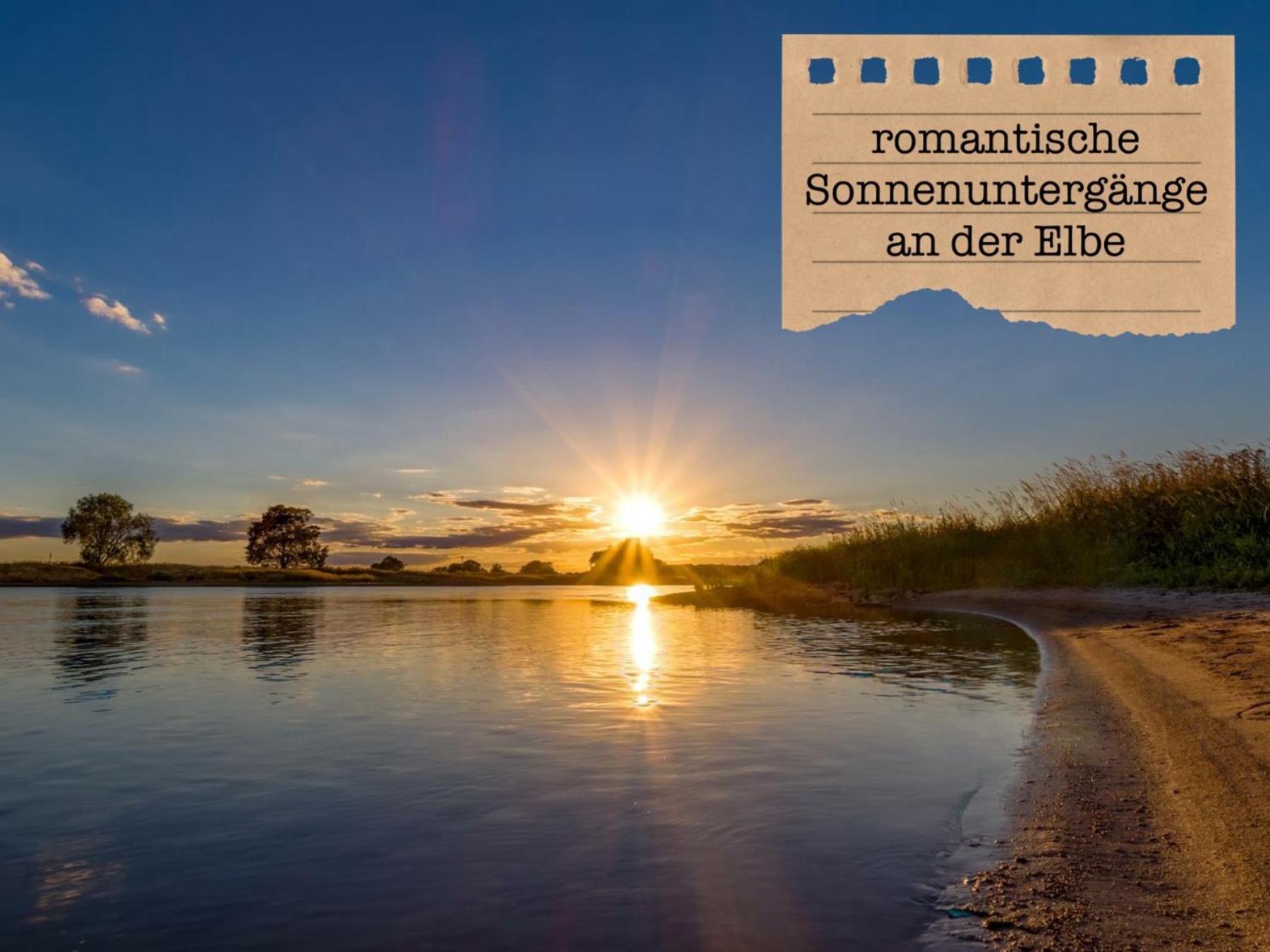 Alte Schule Wittenberg, 3 Ferienwohnungen Fuer Bis Zu 12 Personen, An Der Elbe, Mit Garten ภายนอก รูปภาพ