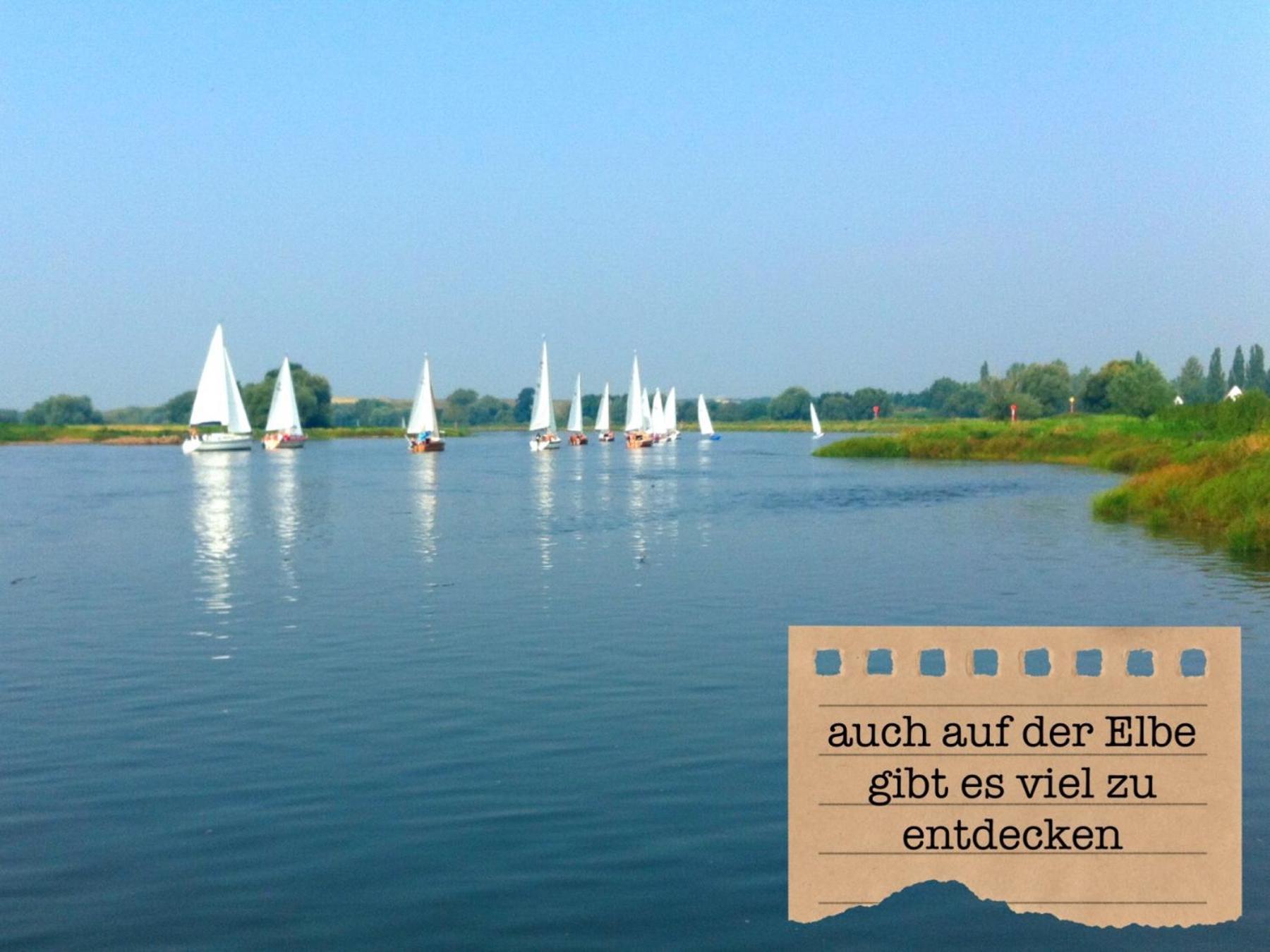 Alte Schule Wittenberg, 3 Ferienwohnungen Fuer Bis Zu 12 Personen, An Der Elbe, Mit Garten ภายนอก รูปภาพ