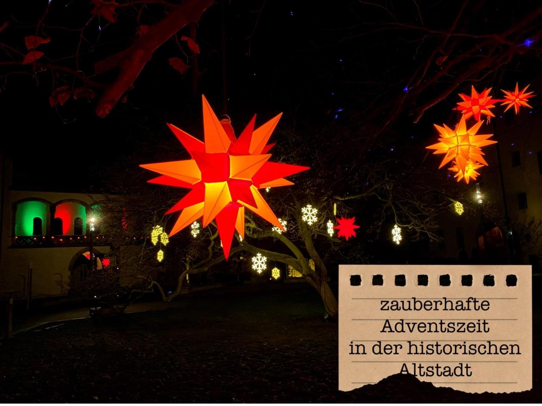 Alte Schule Wittenberg, 3 Ferienwohnungen Fuer Bis Zu 12 Personen, An Der Elbe, Mit Garten ภายนอก รูปภาพ