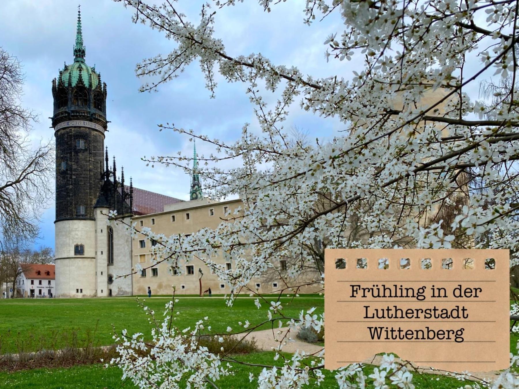 Alte Schule Wittenberg, 3 Ferienwohnungen Fuer Bis Zu 12 Personen, An Der Elbe, Mit Garten ภายนอก รูปภาพ