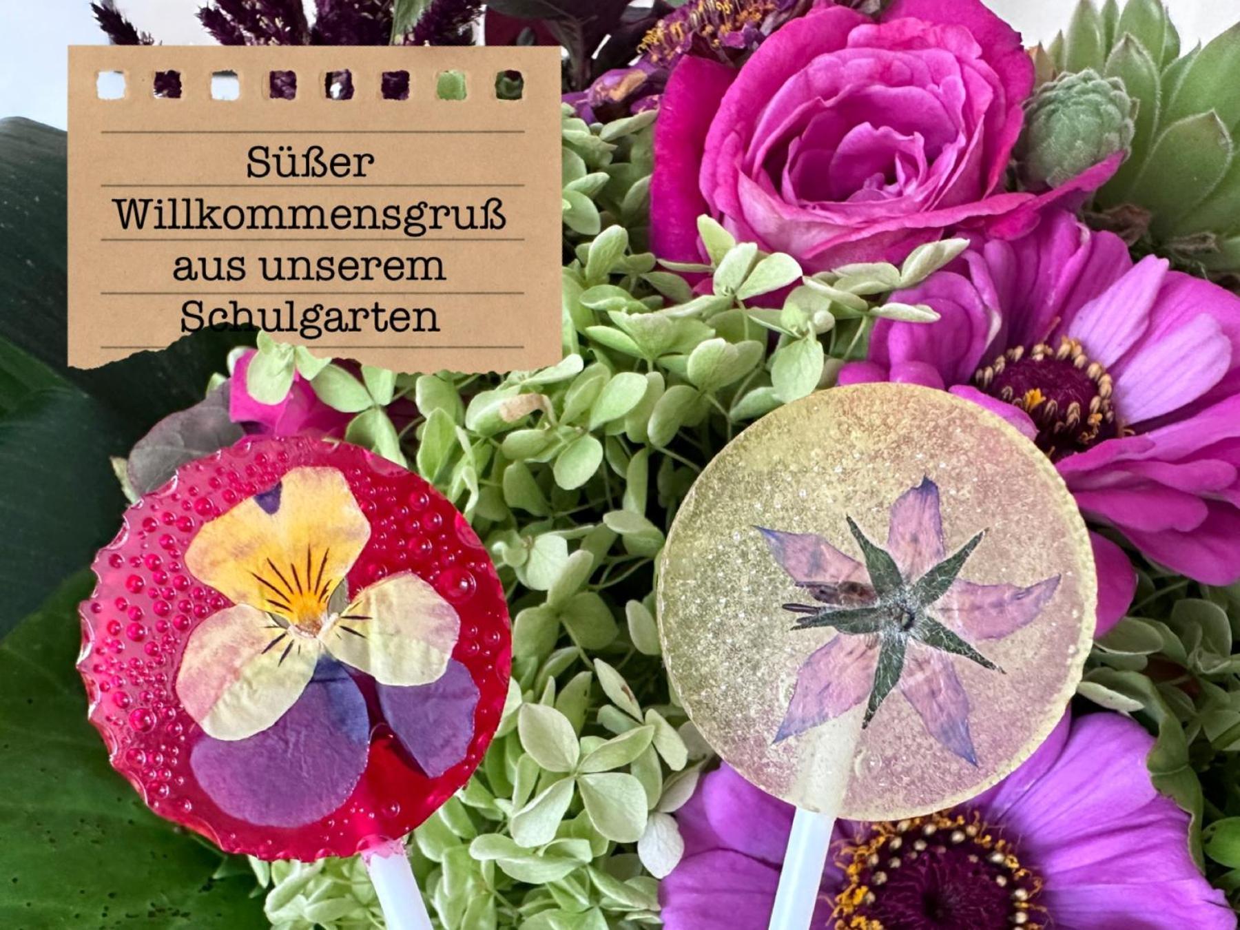 Alte Schule Wittenberg, 3 Ferienwohnungen Fuer Bis Zu 12 Personen, An Der Elbe, Mit Garten ภายนอก รูปภาพ