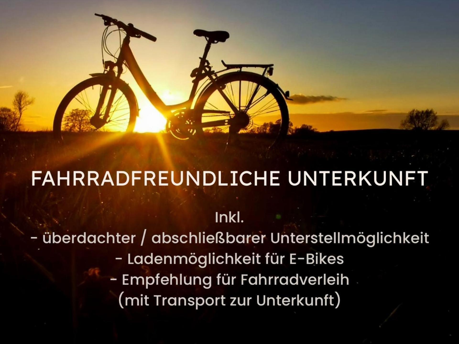 Alte Schule Wittenberg, 3 Ferienwohnungen Fuer Bis Zu 12 Personen, An Der Elbe, Mit Garten ภายนอก รูปภาพ